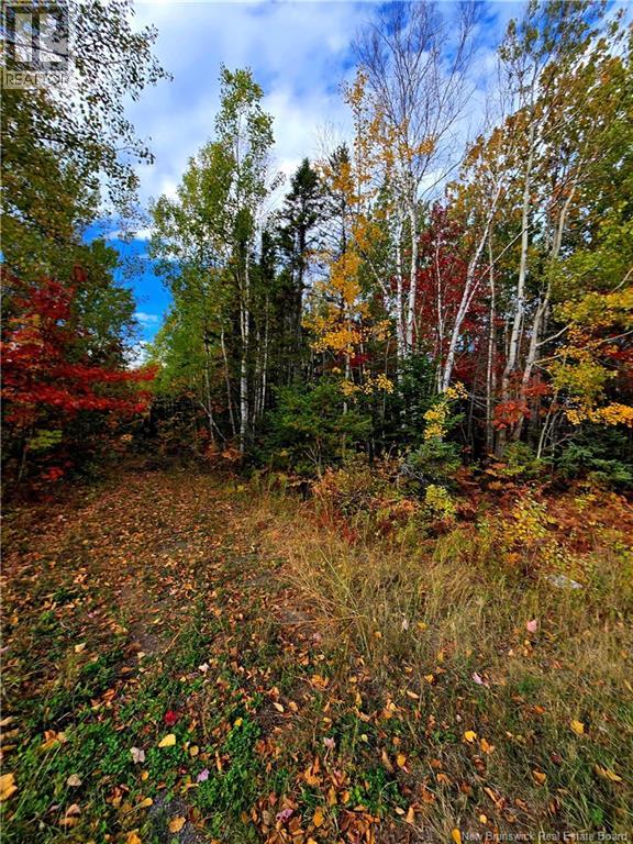 28 Acres Chemin Poirier Unit 61, Village-des-poirier, NB E9N 1N5