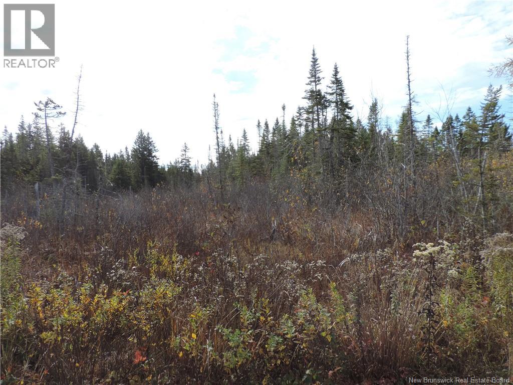 Old Gardner Creek Road, Rowley, NB E5S 2C8