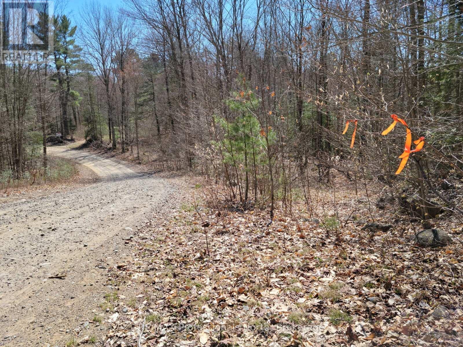 Lot 32 Concession 11, Huntsville Brunel, ON P1H 2J6
