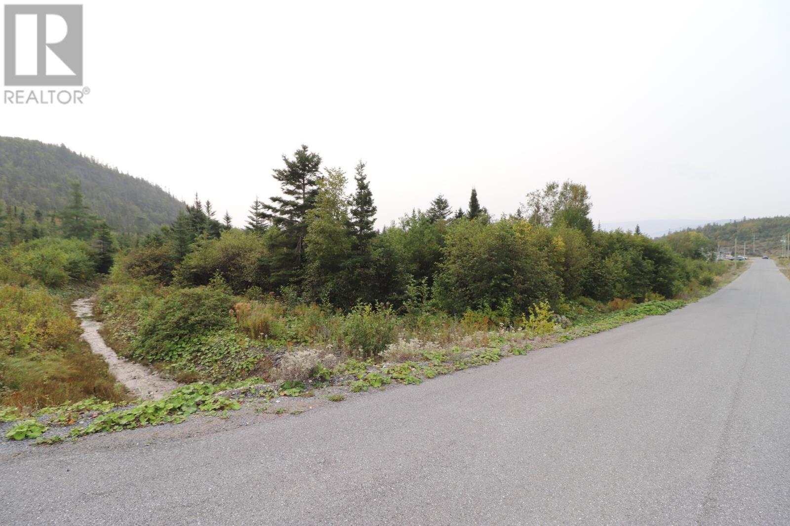 14 Hollands Memorial Dr, Norris Point, NL A0K 3V0