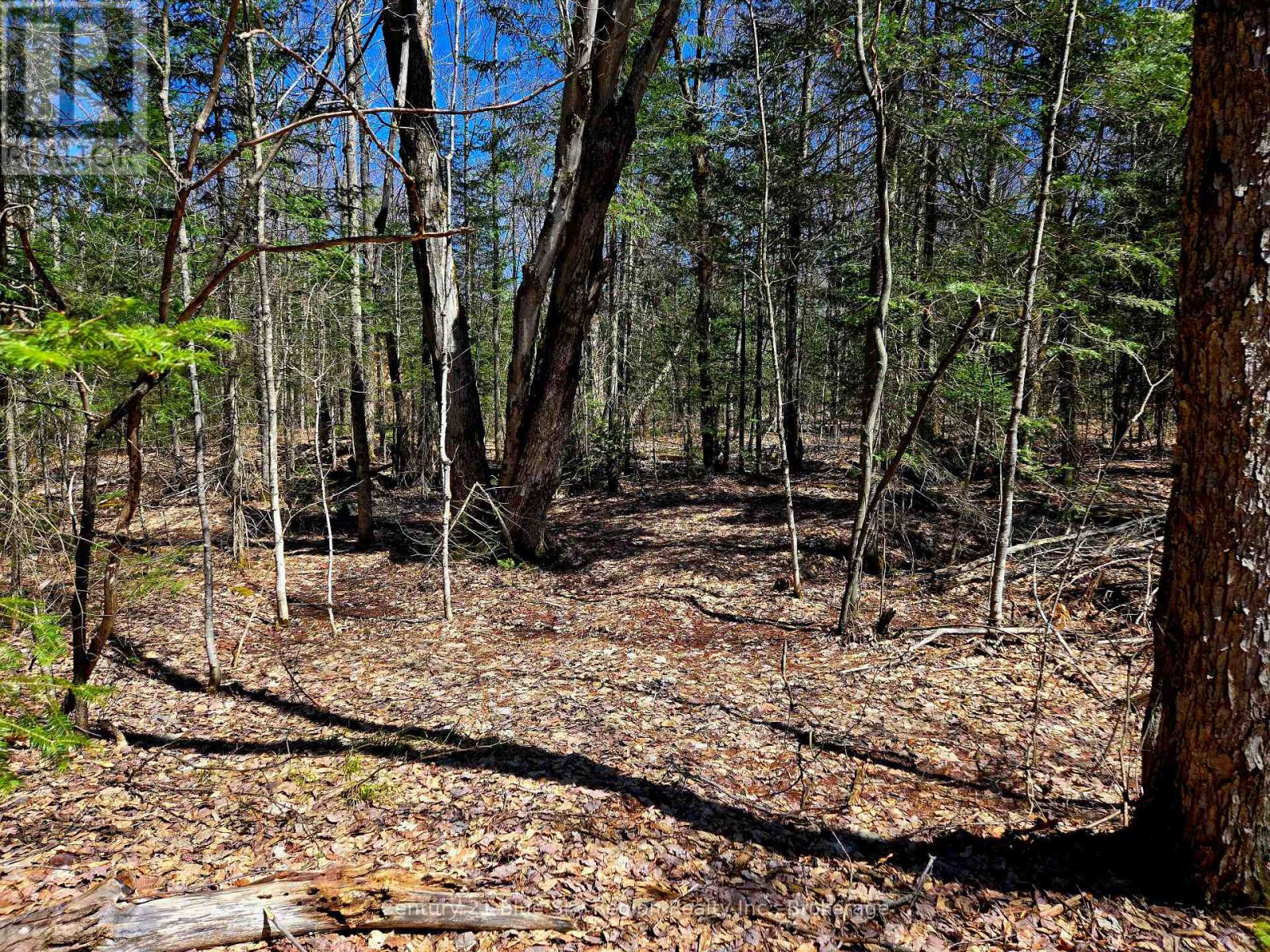3267 Highway 534, Nipissing, ON P0H 1W0