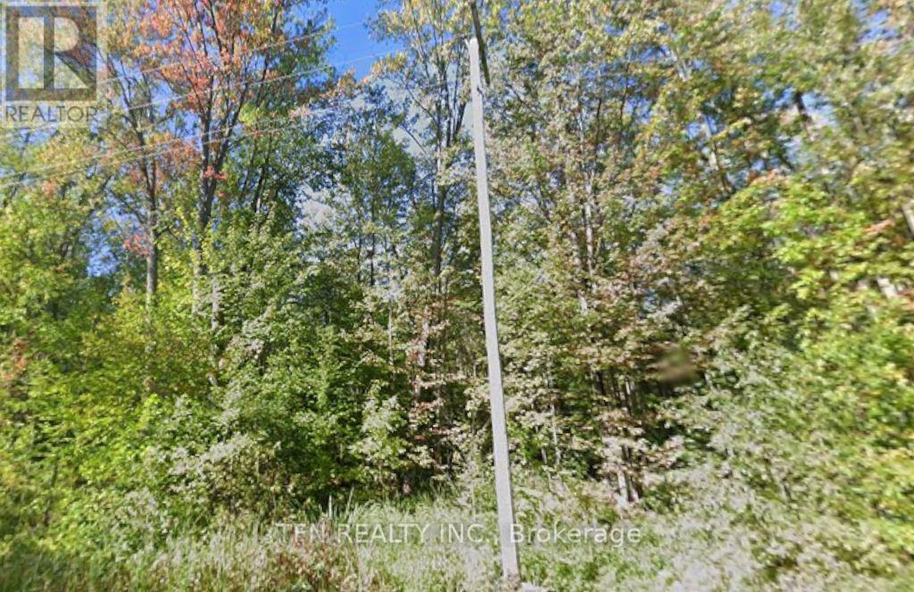 3676 Sideroad 20 Rd, Ramara, ON L0K 1B0