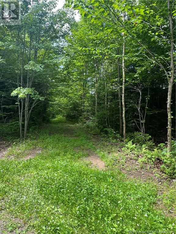 Dagnino Road, Snider Mountain, NB E5P 1J8