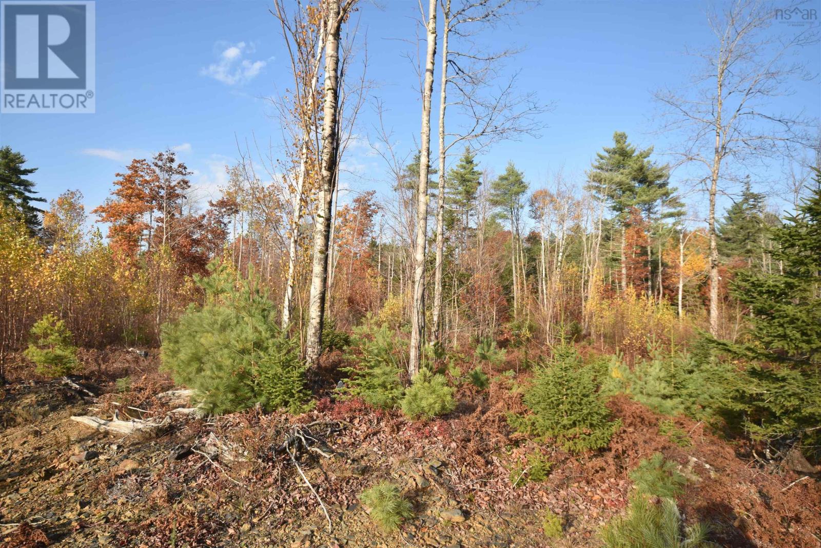 Lot 25-1 Upper Branch Road, Midville Branch, NS B4V 4S9