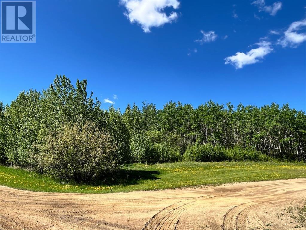 Lot 4 163 Range Road, Plamondon, AB T0A 2T0