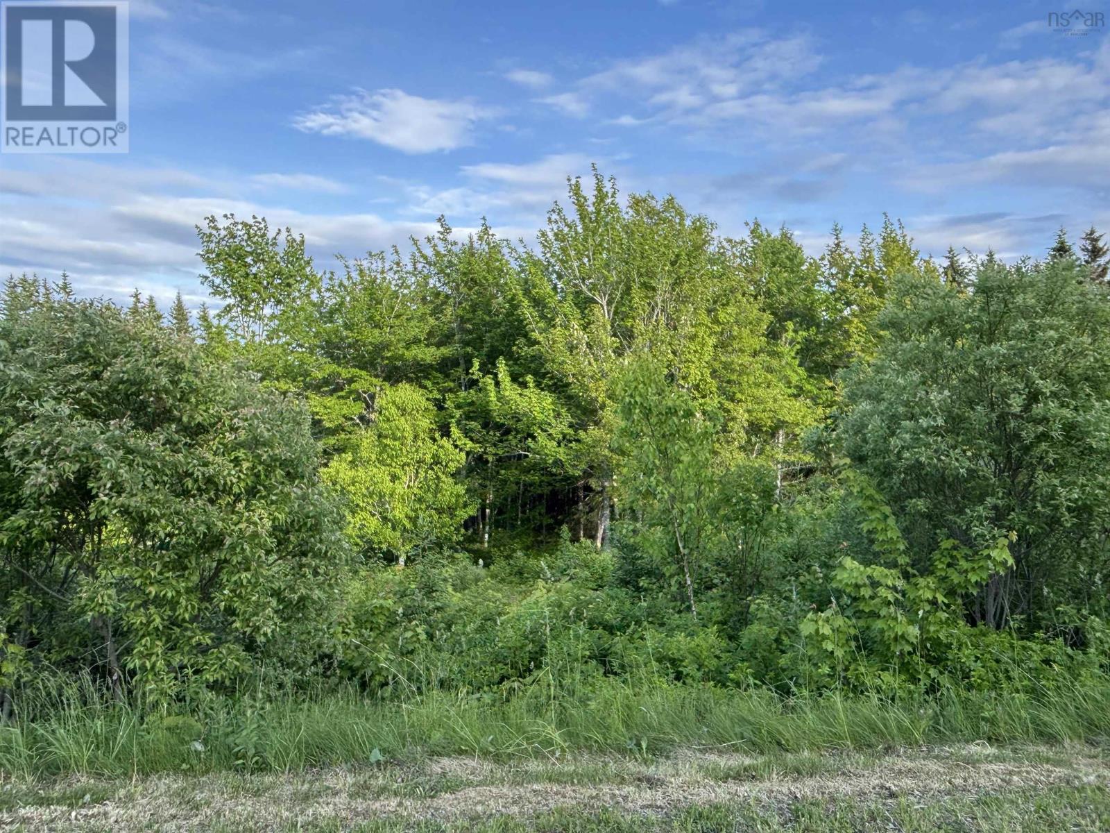 28 Parkland Pl, Dalem Lake, NS B1Y 2X9