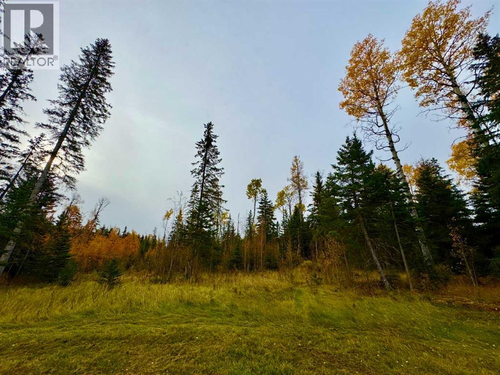 103 Meadow Ponds Dr, Rural Clearwater County, AB T4T 1A7