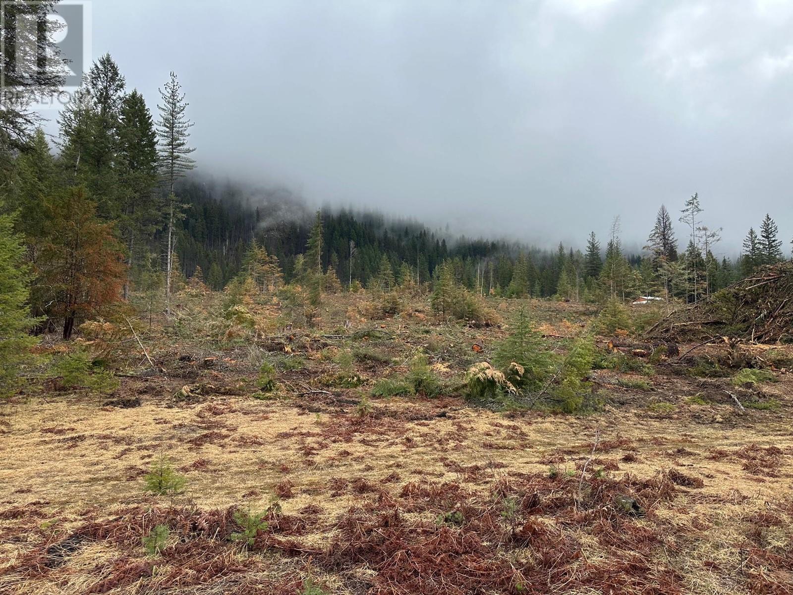Lot C Lancaster Road, Winlaw, BC V0G 2J0