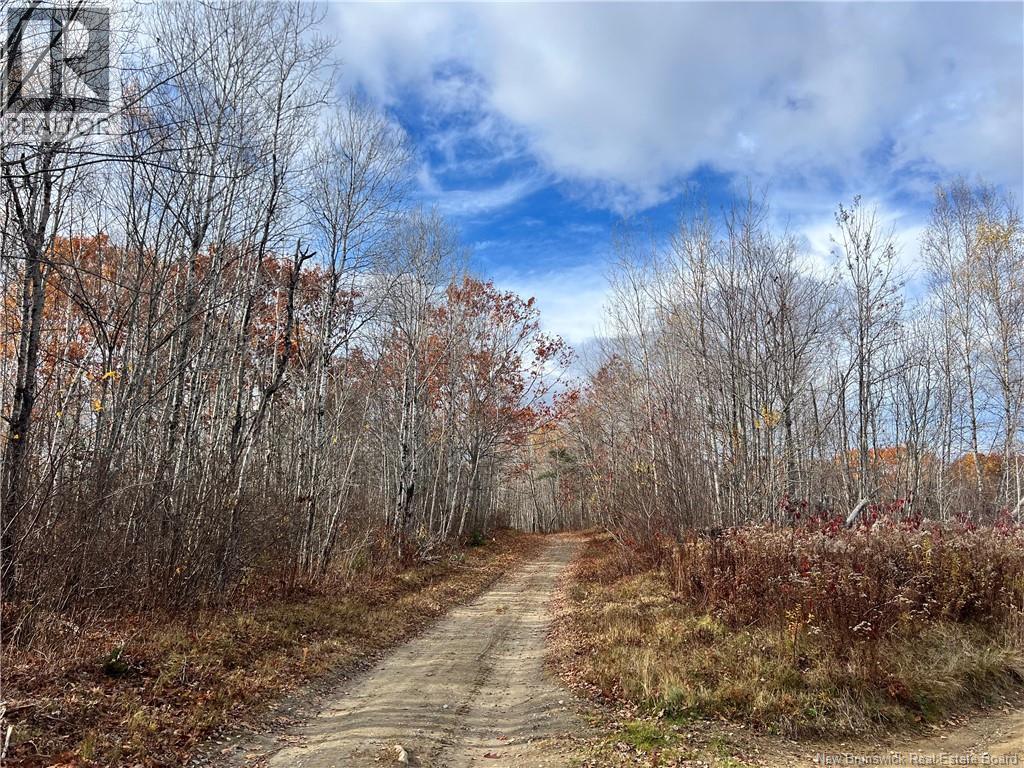 02 Hall Rd, Upper Mills, NB E3L 5W8