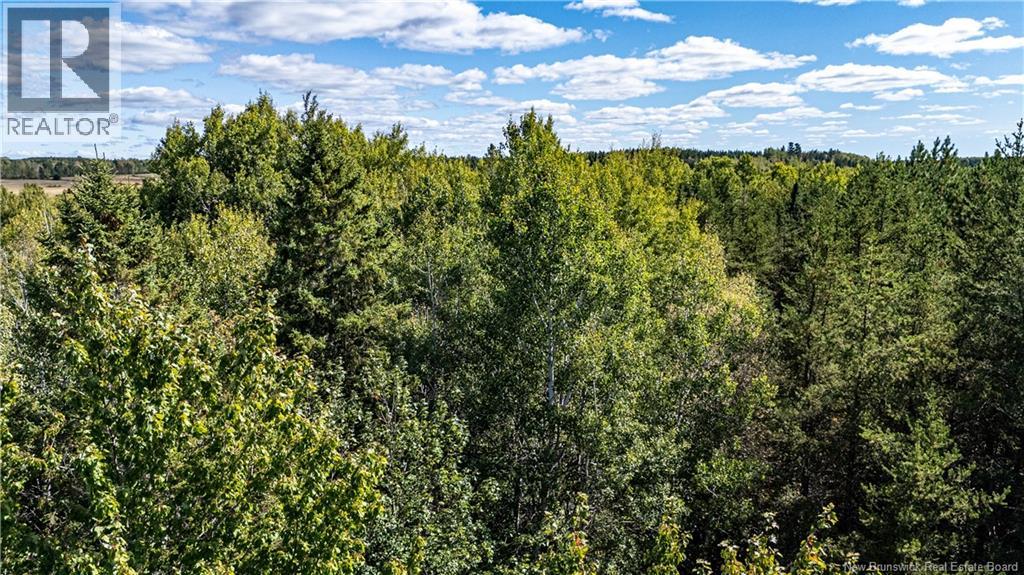 6 De La Traverse Rd #79, Saint-paul, NB E4T 3M6