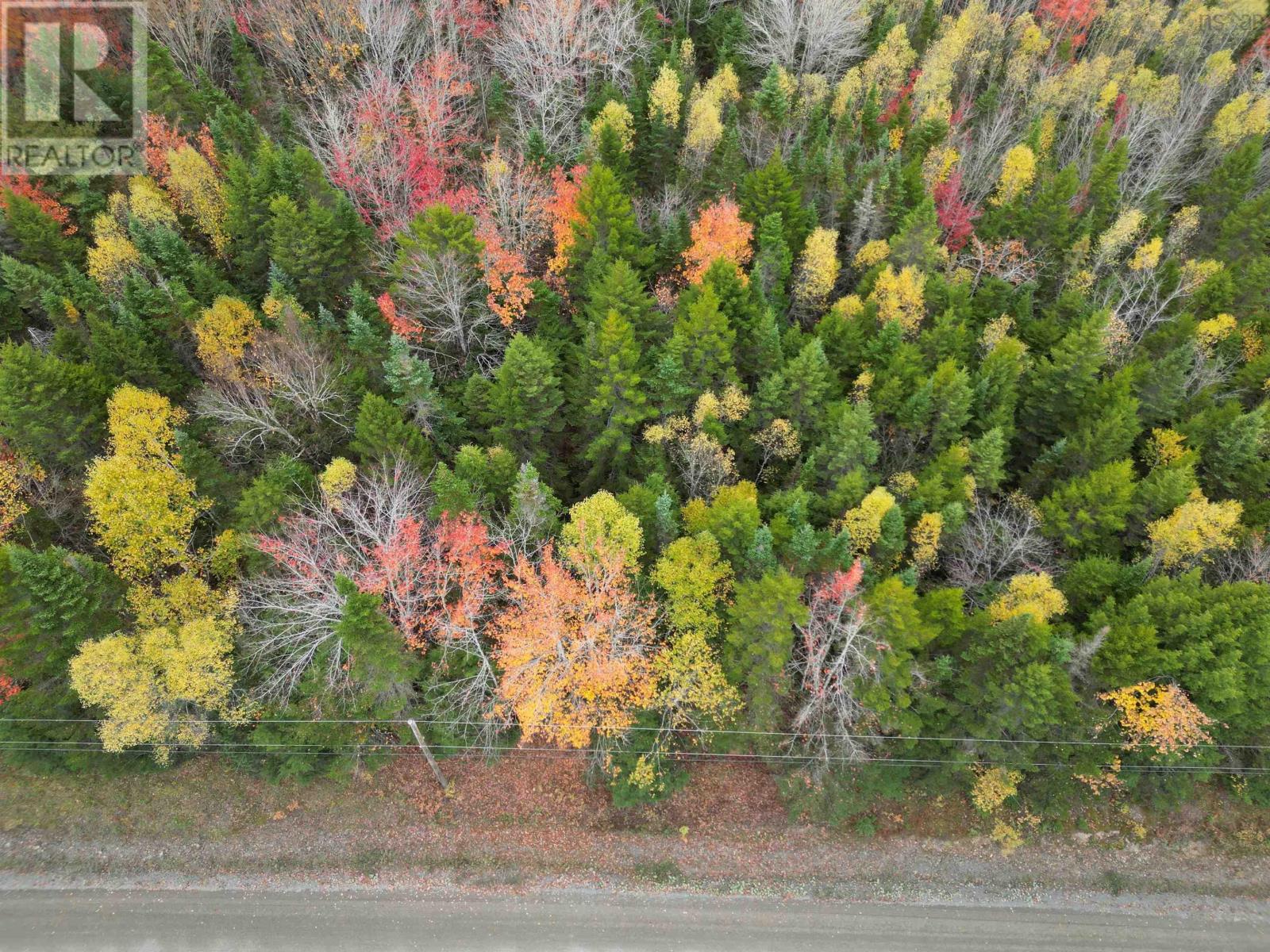 1 Barr Settlement Rd, Barr Settlement, NS B2S 3B7