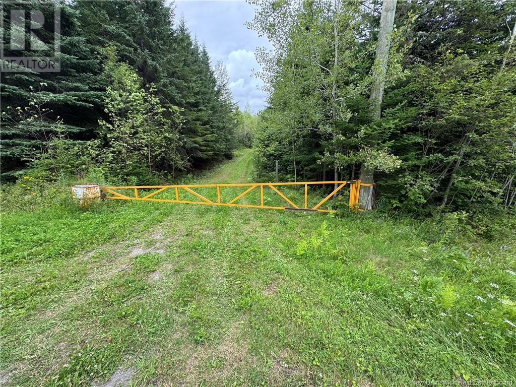 New Brunswick 380, Bell Grove, NB E7G 4E3