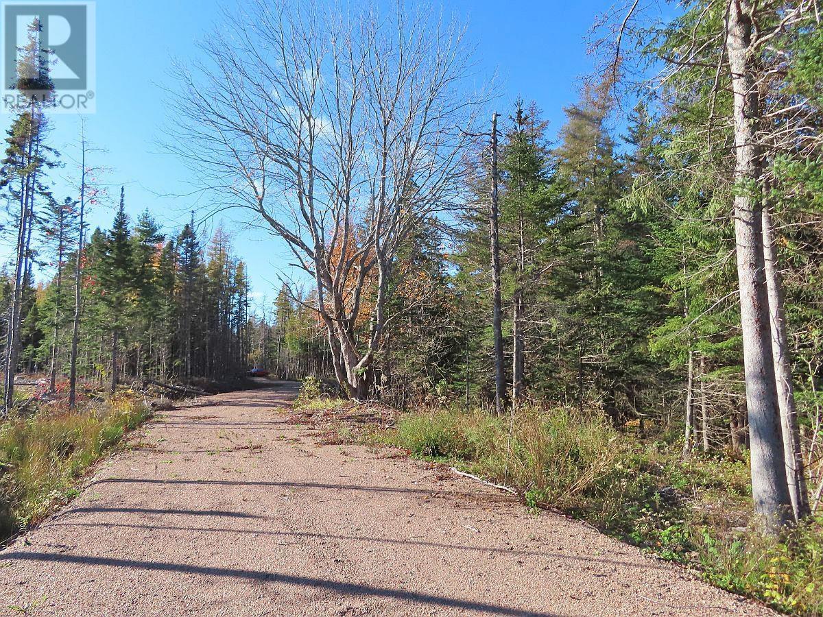 Lot 8 APT 4 Highway Road, Cleveland, NS B0E 1J0