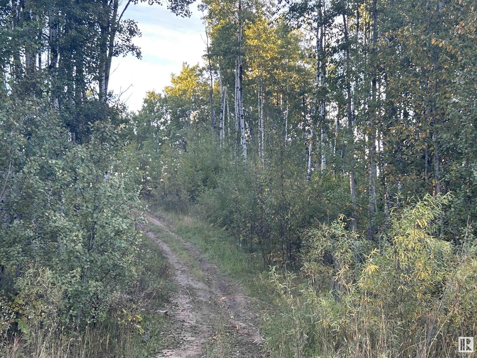 62331 Range Rd 411a, Rural Bonnyville M.d., AB T0A 0T0