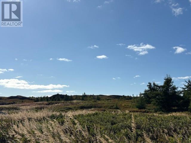 8 Islandview Ave, New Wes Valley, NL A0G 4R0