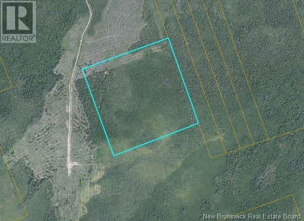 50 Acres Route 117, Hardwicke, NB E9A 1L6