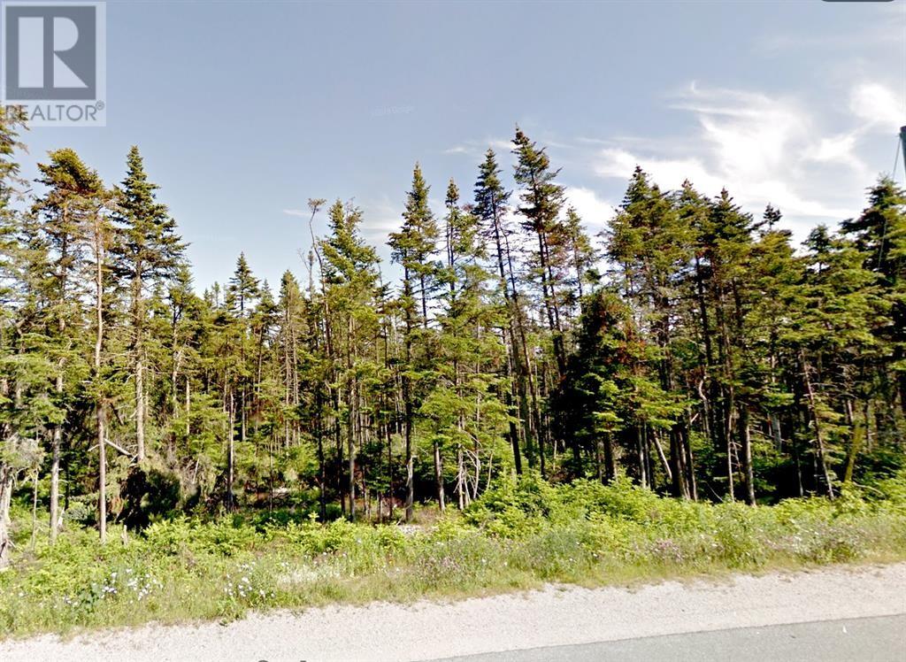 134 Bauline Line Ext, Portugal Cove-st. Philip's, NL A1M 2V5