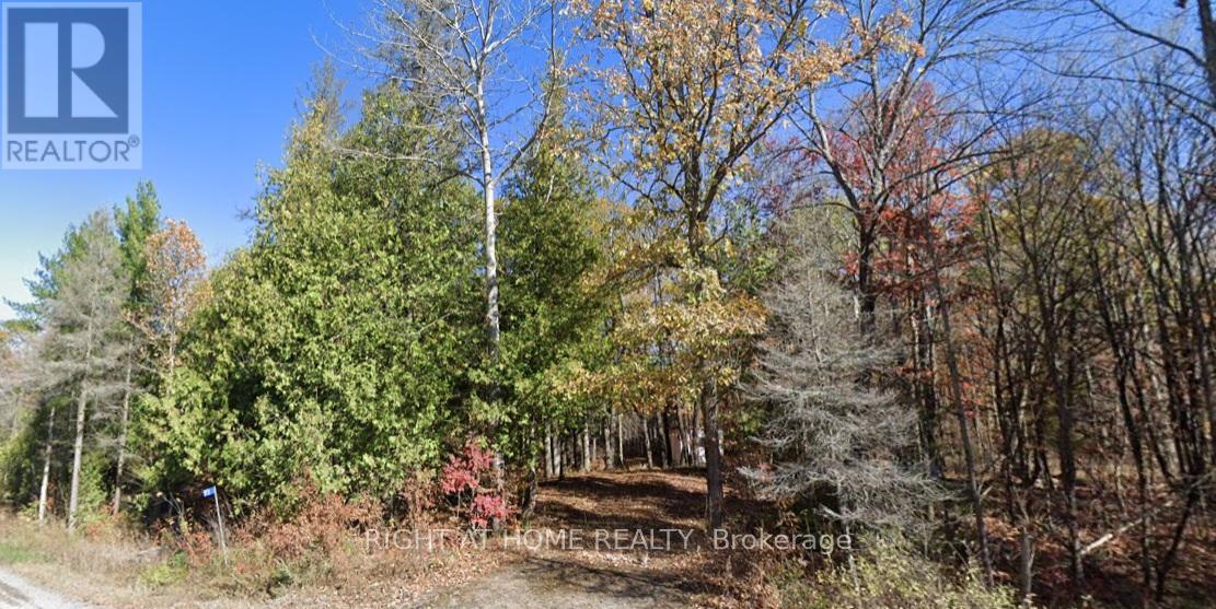 93 Mccleary Rd, Marmora and Lake, ON K0K 2M0