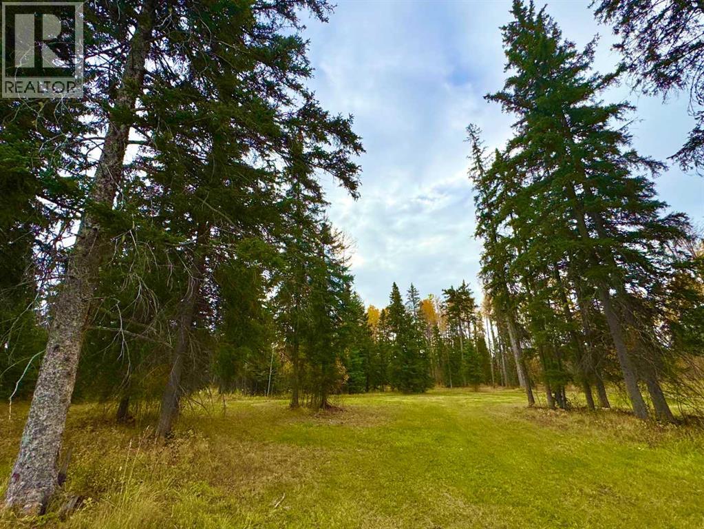 201 High Timber Pl, Rural Clearwater County, AB T4T 1A7