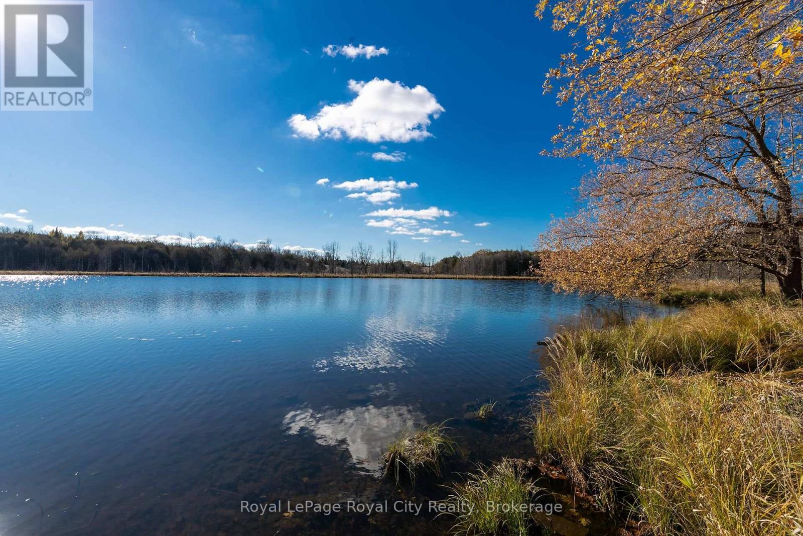 6361 16 Line, Minto, ON N0G 1M0