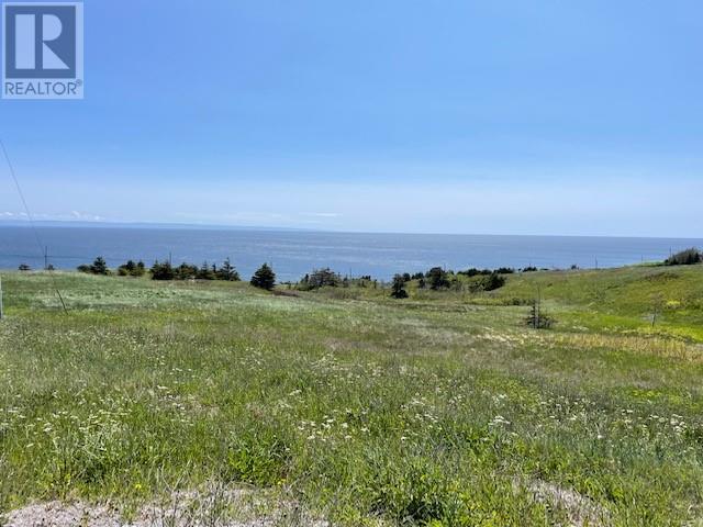460 Main Rte, Felix Cove, NL A0N 1T0