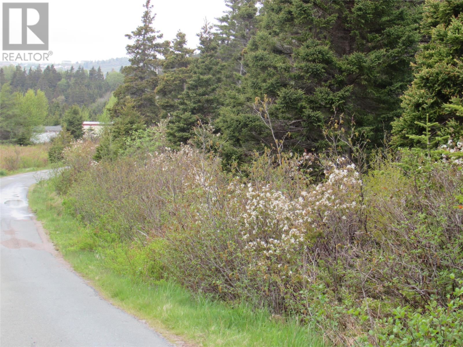 1 Cove Rd #-3, Colliers, NL A0A 1Y0
