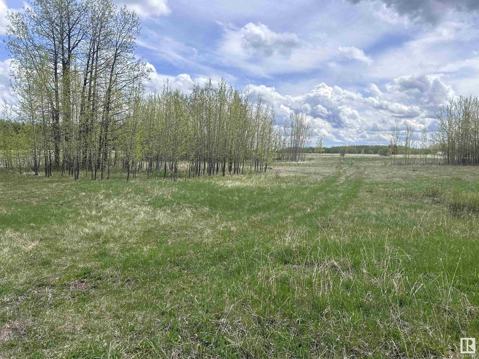 49505 Range Road 80 Unit 206 #206, Rural Brazeau County, AB T7A 0C1