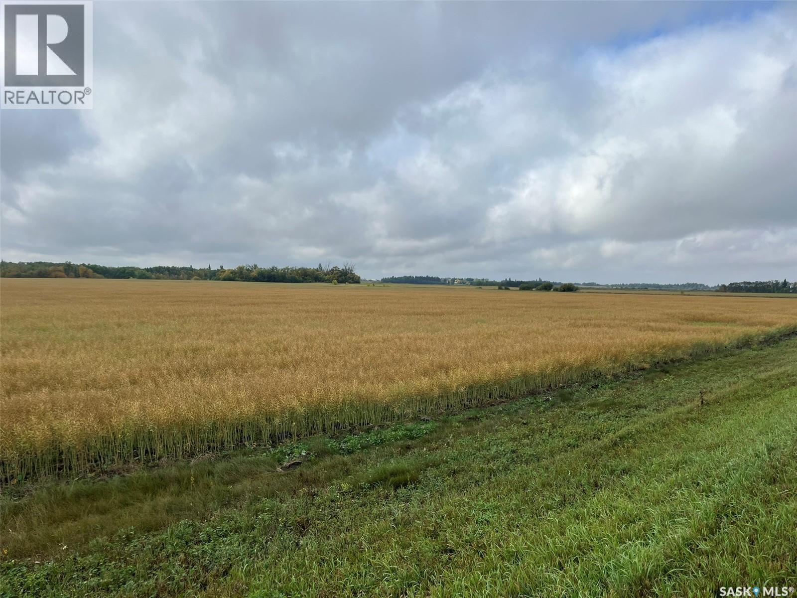 Rm Buckland Farm Land, Buckland Rm No. 491, SK S6V 5E6