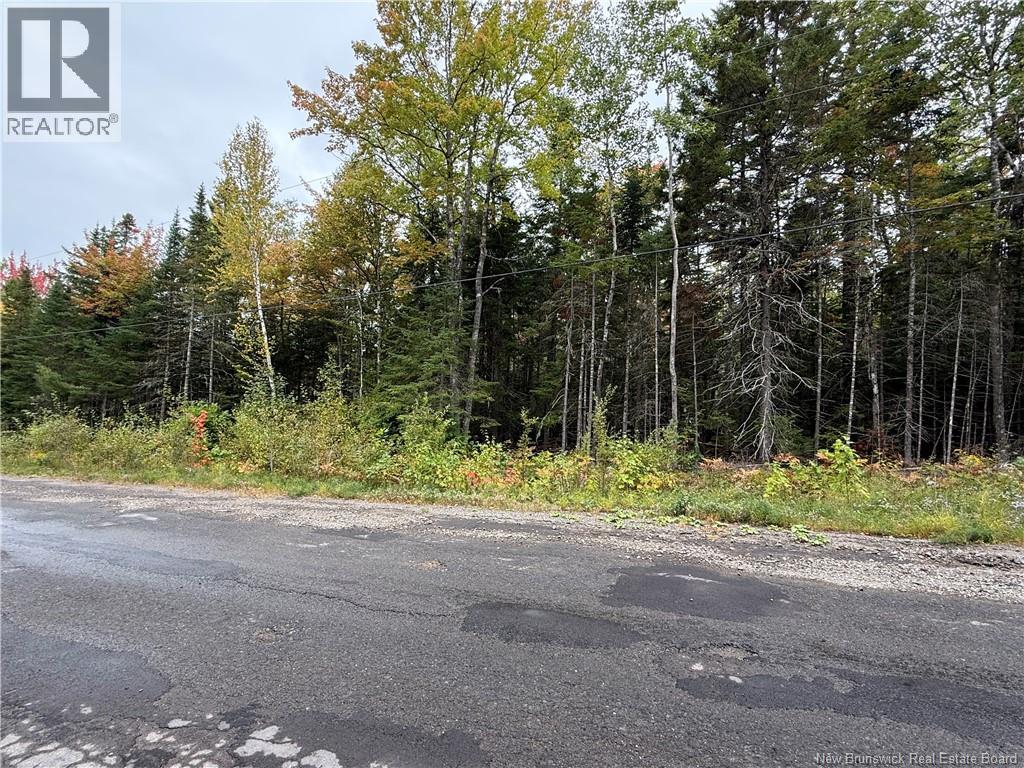 Lot Nickerson Point Road, Wickham, NB E4C 6C2