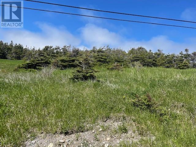 112 Felix Cove Rd, Felix Cove, NL A0N 1T0