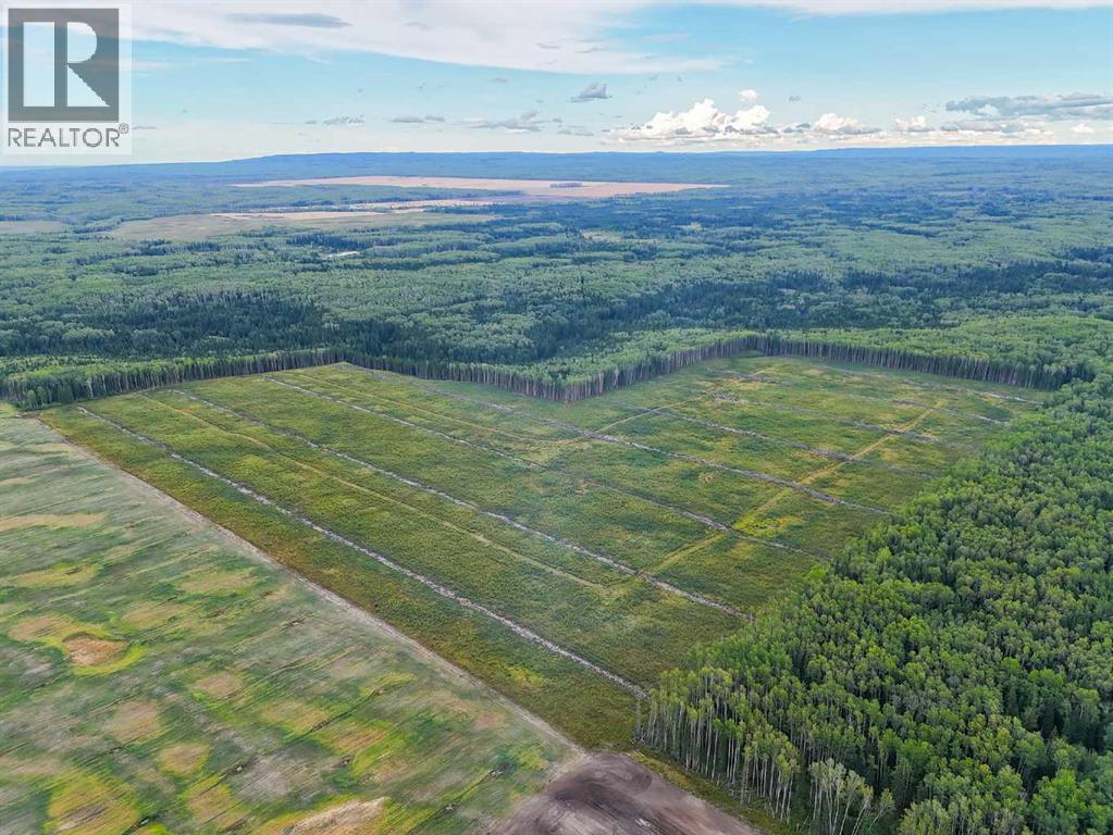 NE-21-101-17-w5, Rural Mackenzie County, AB T0H 2H0