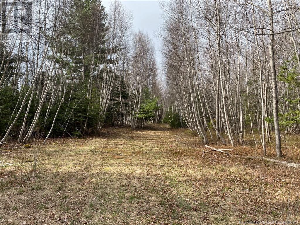 Lot Route 505, Richibouctou-village, NB E4W 1R6