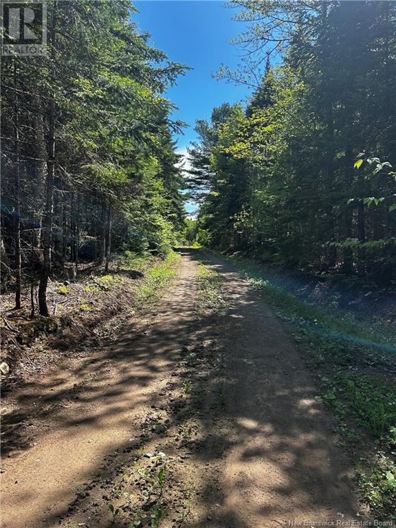New Brunswick 10, Kierstead Mountain, NB E5P 1T8