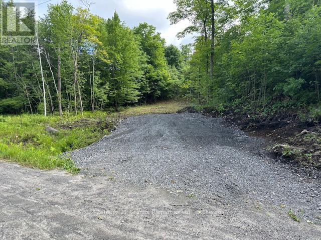 4 Mcnaughts Rd, Seguin, ON P2A 0B2