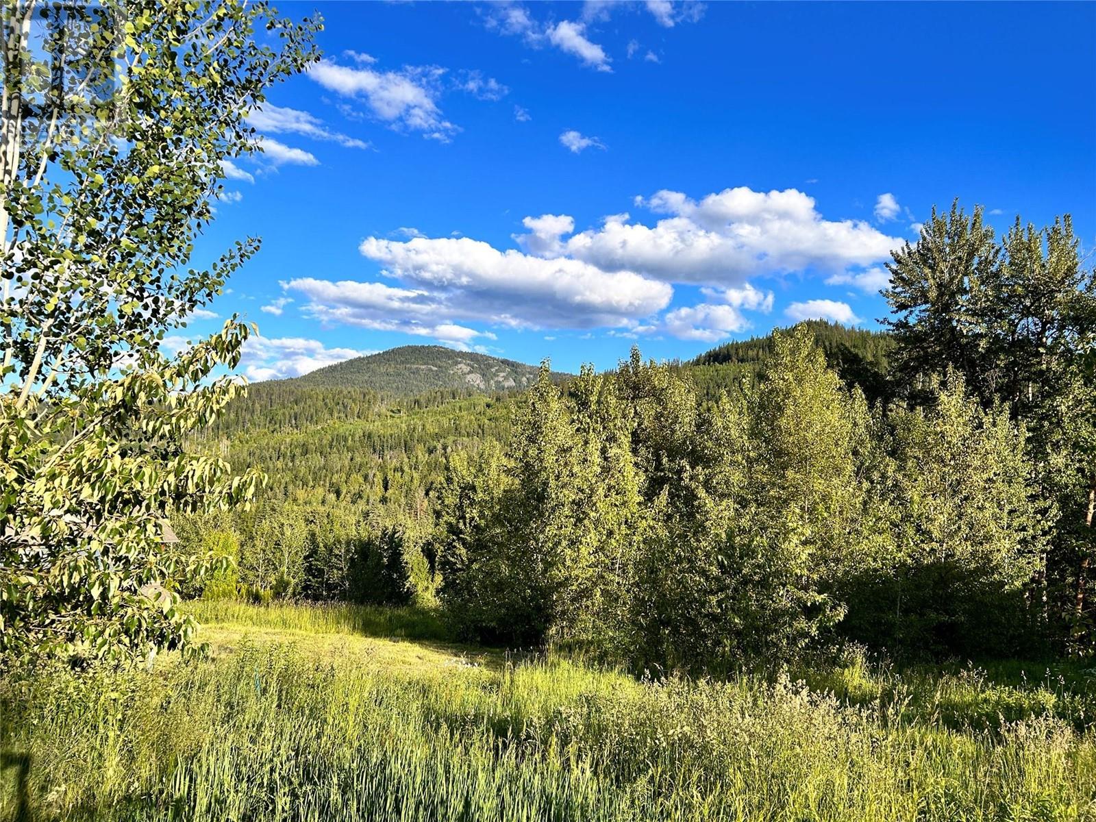 917 Redstone Dr, Rossland, BC V0G 1Y0