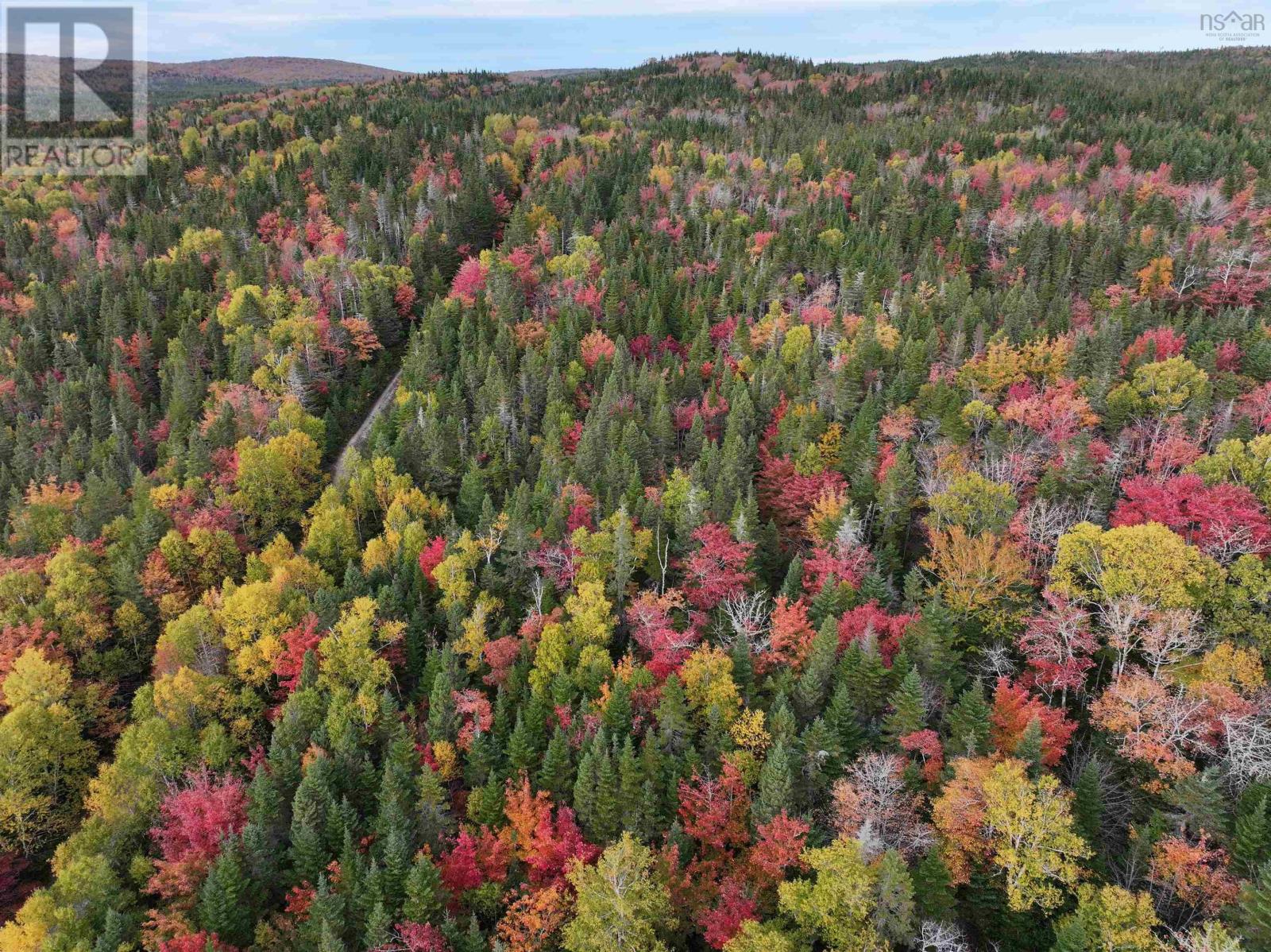 Lot 1 Highway 316, Country Harbour Mines, NS B0H 1J0