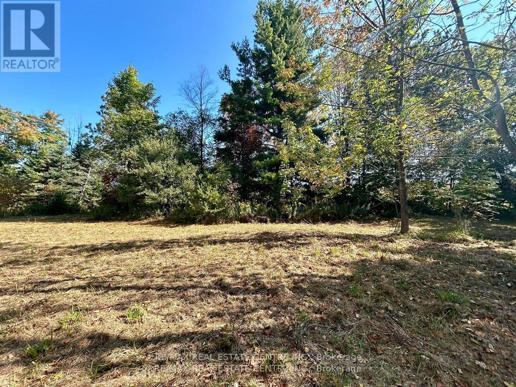 707066 County Rd 21 Rd, Mulmur, ON L9V 0W6
