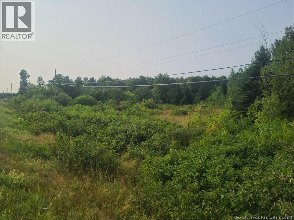 7 Acres Route 180 Unit 3, South Tetagouche, NB E2A 7G2