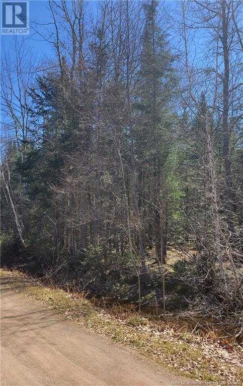 3 Hayesey Lane, Mill Cove, NB E4C 3G5