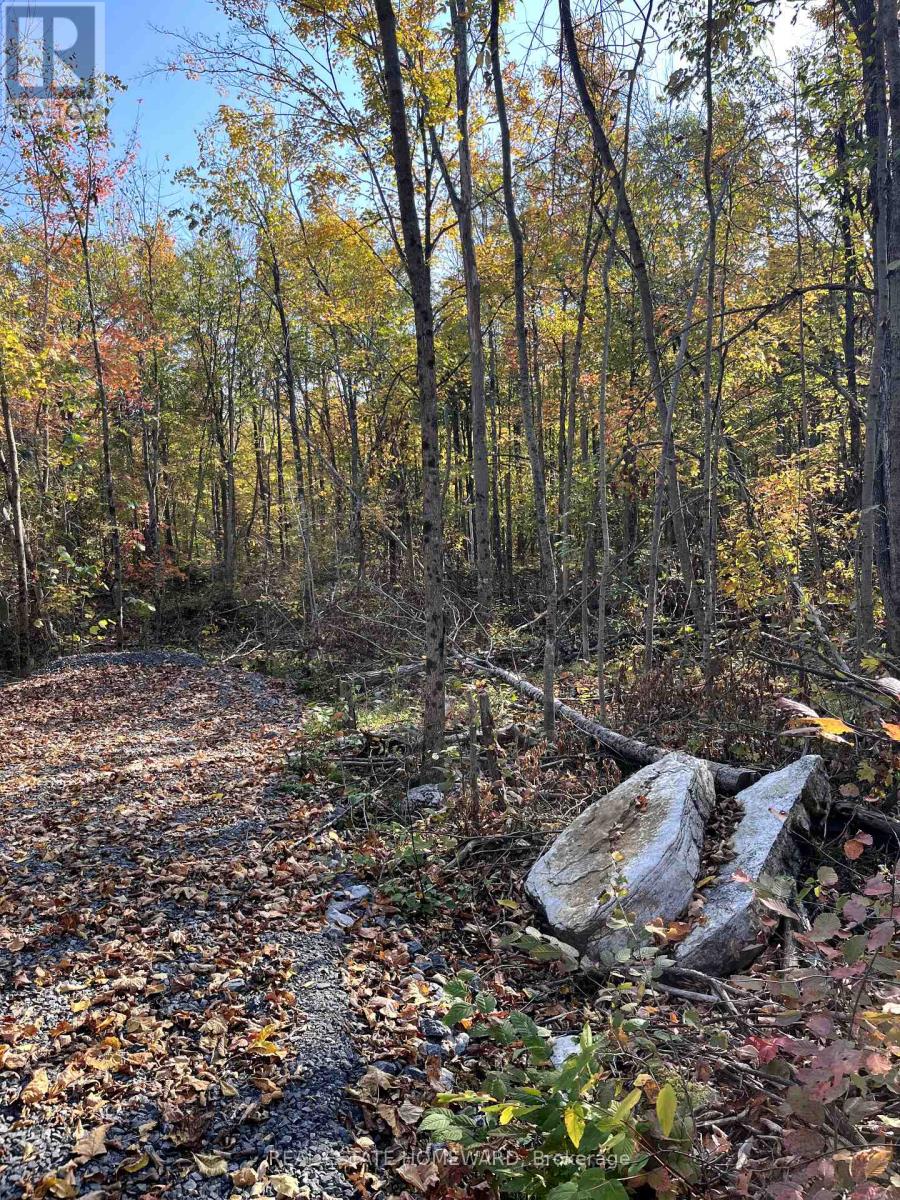 47 County Road Unit 0, Havelock-belmont-methuen Belmont-methuen, ON K0L 1Z0