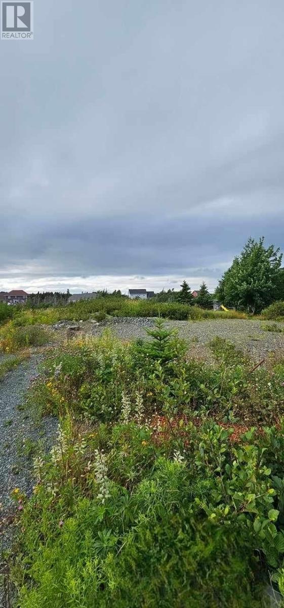 22 Pulpit Rock Rd, Torbay, NL A1K 1A2