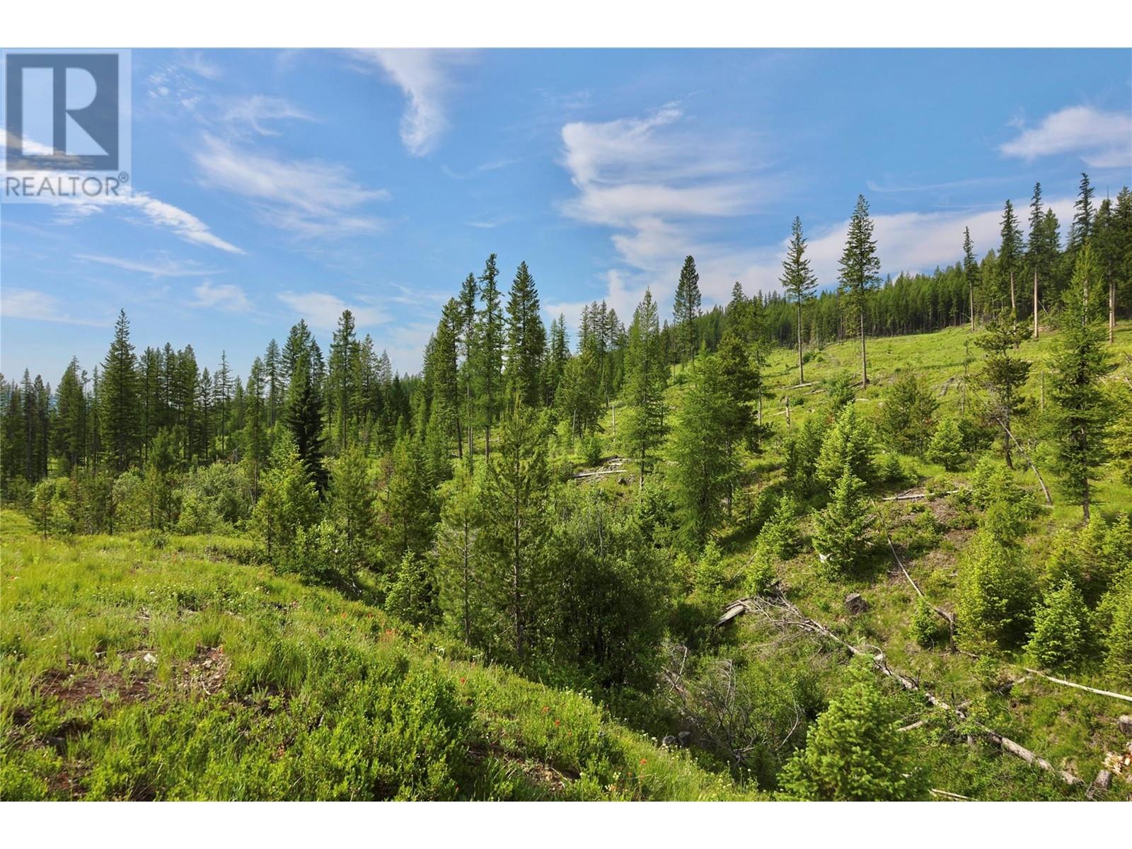 2375 Belchrome Fsr Rd, Bridesville, BC V0H 1Y0