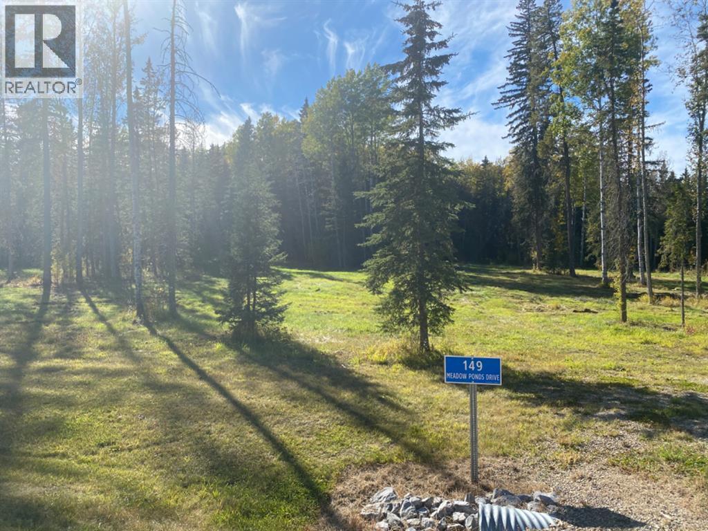 149 Meadow Ponds Dr, Rural Clearwater County, AB T4T 1A7