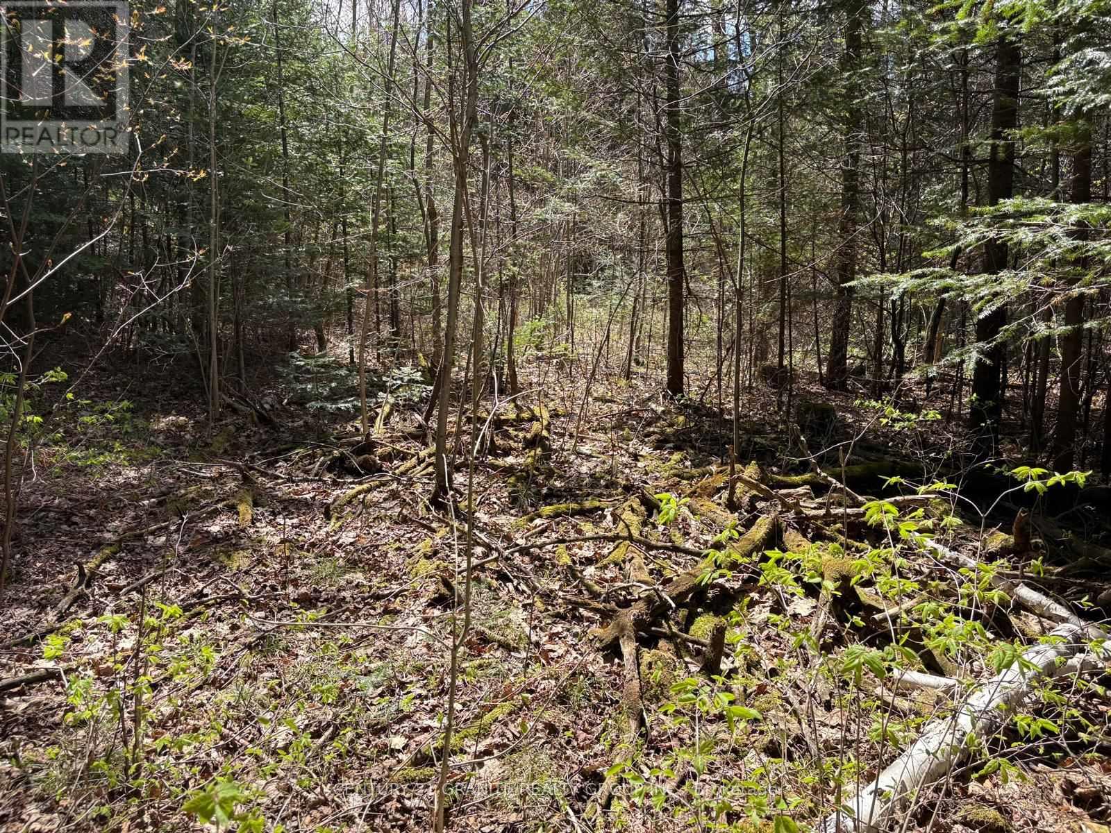 00 Monck Rd, Faraday, ON K0L 1C0