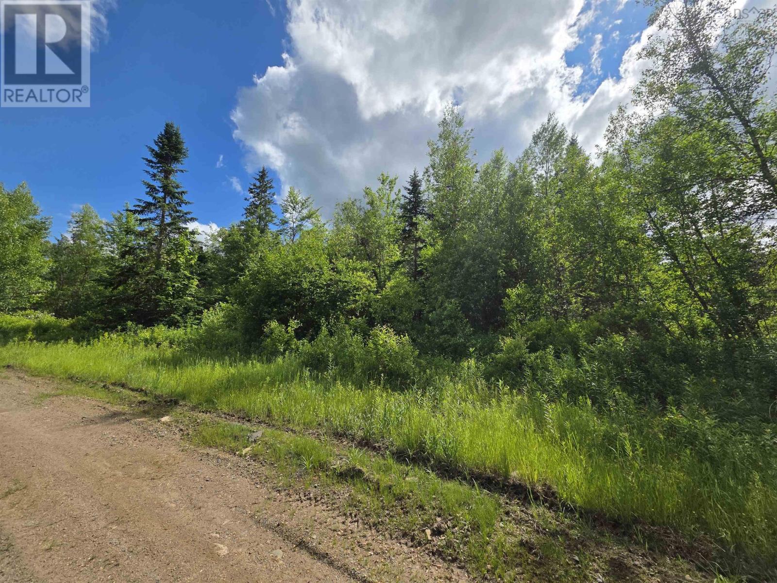 Lot Black River Road, Black River Lake, NS B4P 2R1