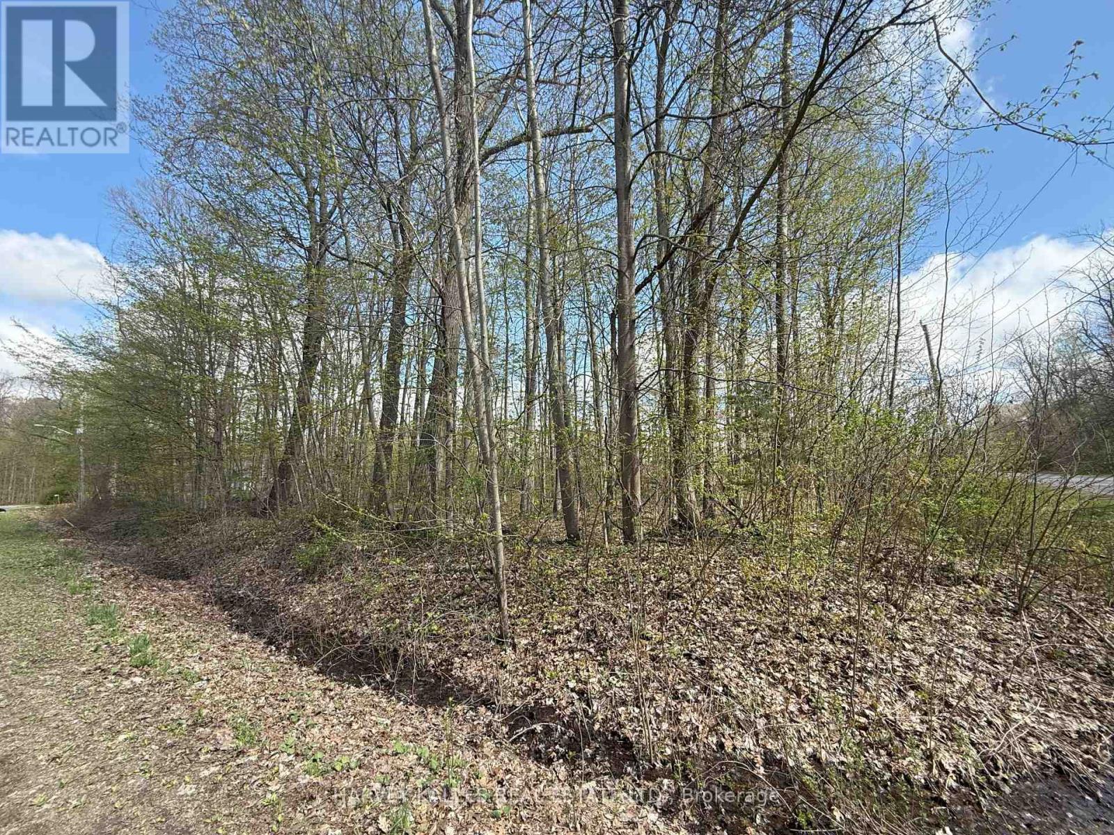 0 Oakwood Ln, Greater Napanee, ON K0H 1G0
