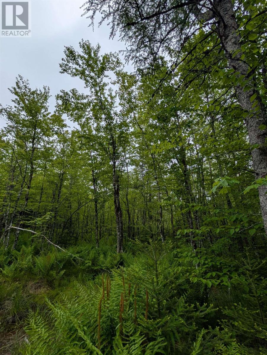 Cm2j Lot Cm2j Mackenzie Lane, Mount Uniacke, NS B0N 1Z0