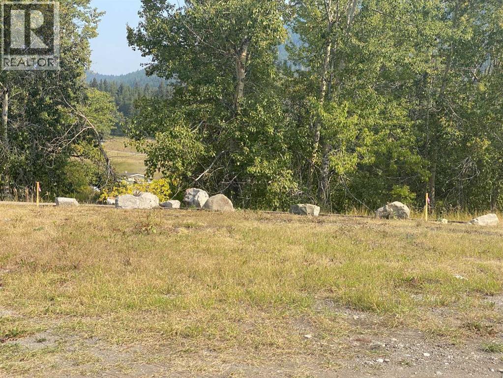 2131 128 St, Crowsnest Pass, AB T0K 0E0