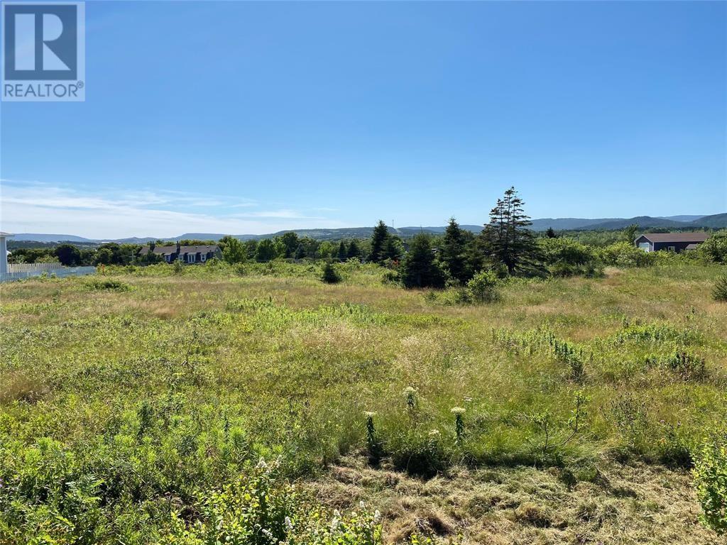 5 Hardings Ln, Bay Roberts, NL A0A 1G0