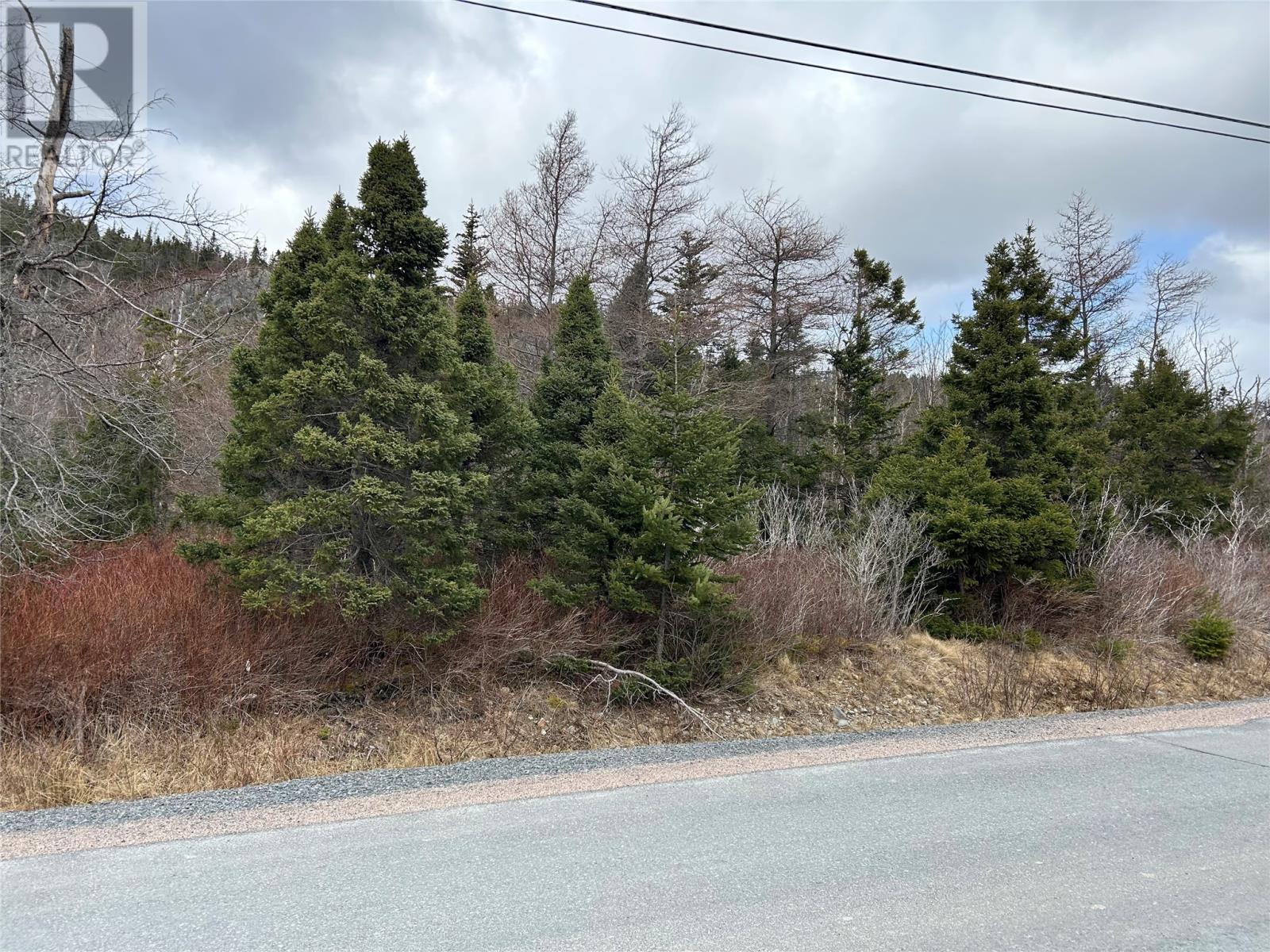 1 North River Road, North River, NL A0A 3C0